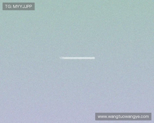 178体育赛事直播全方位覆盖足球精彩赛况与即时比分解析